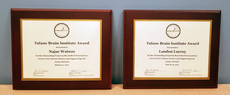 Two Brain Institute award plaques side by side
