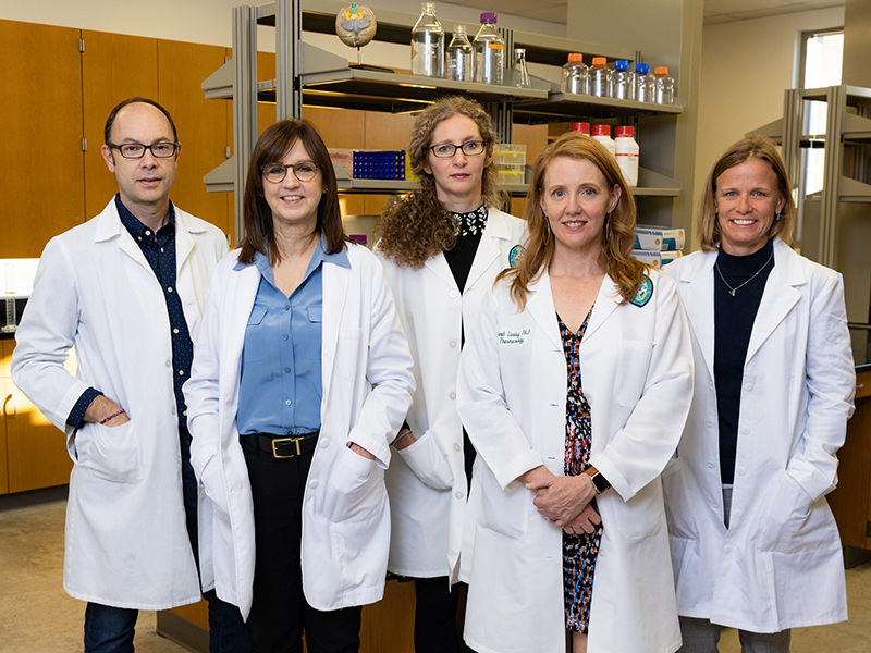 Tulane Brain Institute Director Jill Daniel (second from left) will lead a multidisciplinary team on the $14 million study. Investigators include Ricardo Mostany, associate professor of pharmacology; Andrea Zsombok (center), associate professor of physiology; Sarah Lindsey (second from right), associate professor of pharmacology; and Laura Schrader, associate professor of cell and molecular biology.