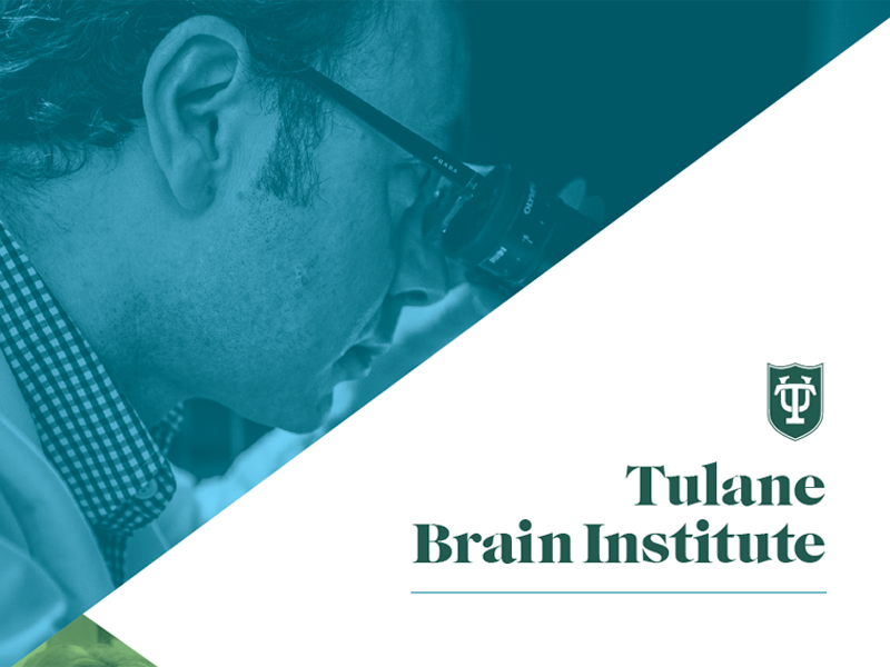 Brain Institute 5-Year Report cover